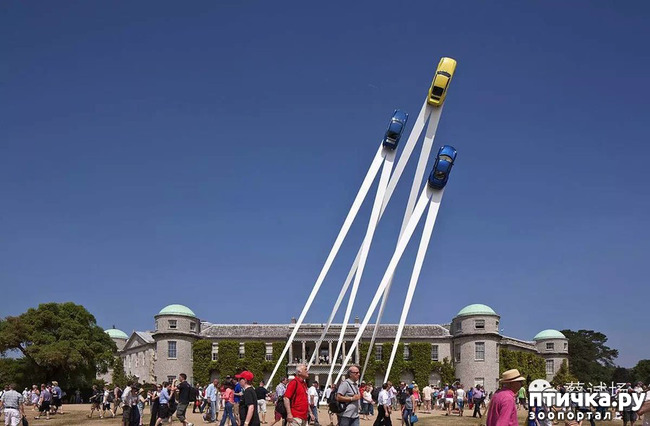 ���� 16: ����� ��������