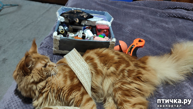 ���� 11: � ����� �� � ���