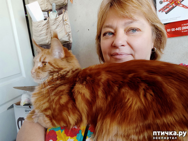 ���� 12: � ����� �� � ���