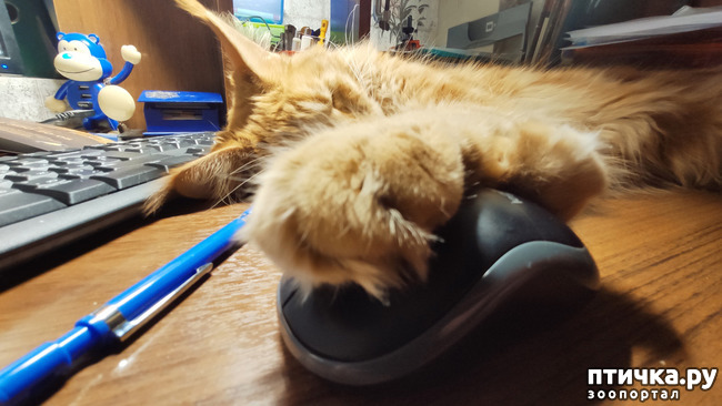 ���� 6: � ����� �� � ���