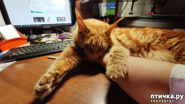 ���� 7: � ����� �� � ���