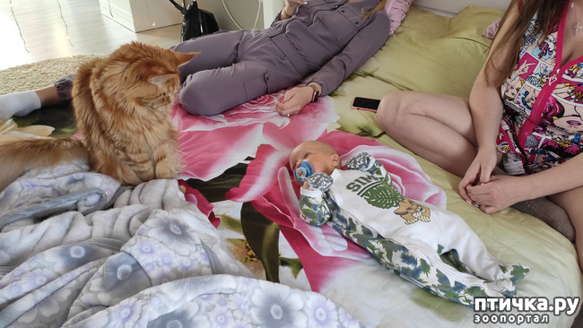 ���� 14: � ����� �� � ���