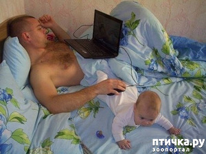 ����: �������� ����� � ����� - ��� �� � �������� ���� ������ (����)