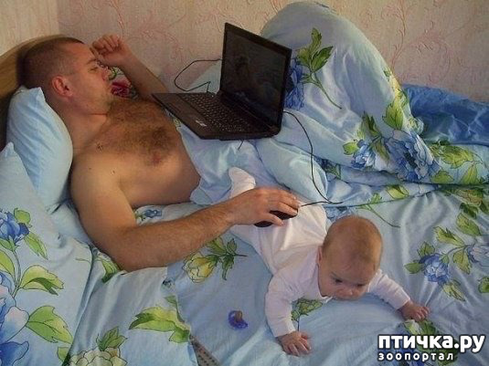 ���� 1: �������� ����� � ����� - ��� �� � �������� ���� ������ (����)