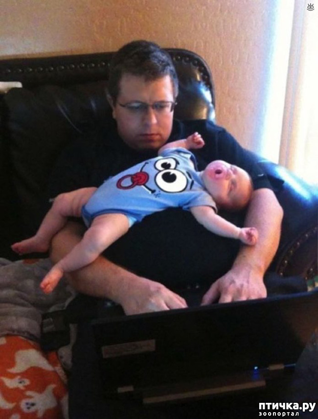 ���� 2: �������� ����� � ����� - ��� �� � �������� ���� ������ (����)