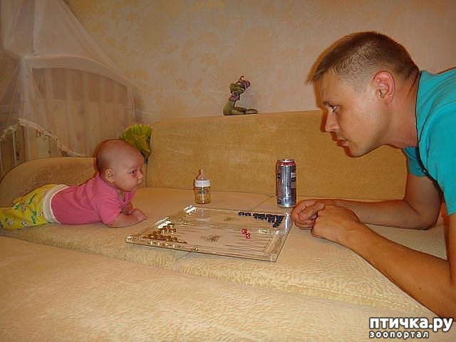 ���� 3: �������� ����� � ����� - ��� �� � �������� ���� ������ (����)