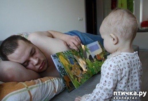 ���� 4: �������� ����� � ����� - ��� �� � �������� ���� ������ (����)