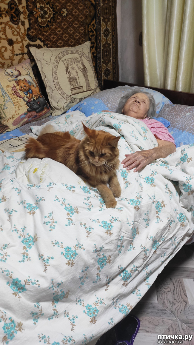 ���� 15: � ����� �� � ���