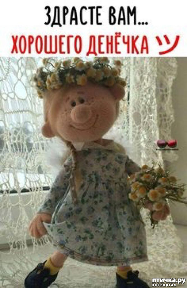 ���� 7: �������� ����� � ����� - ��� �� � �������� ���� ������ (����)