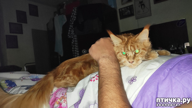 ���� 16: � ����� �� � ���