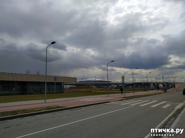 ���� 8: ������������ 2