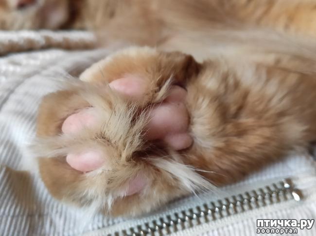 ���� 19: � ����� �� � ���