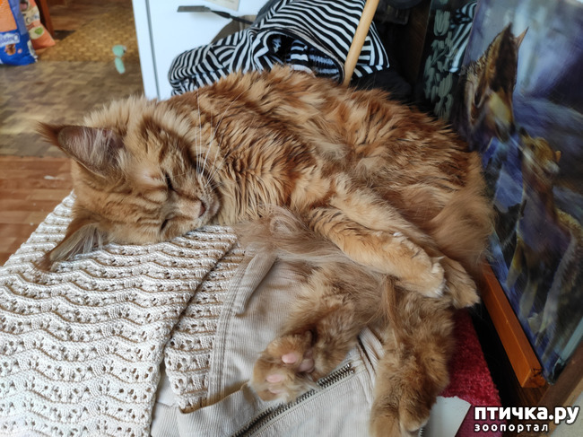 ���� 18: � ����� �� � ���