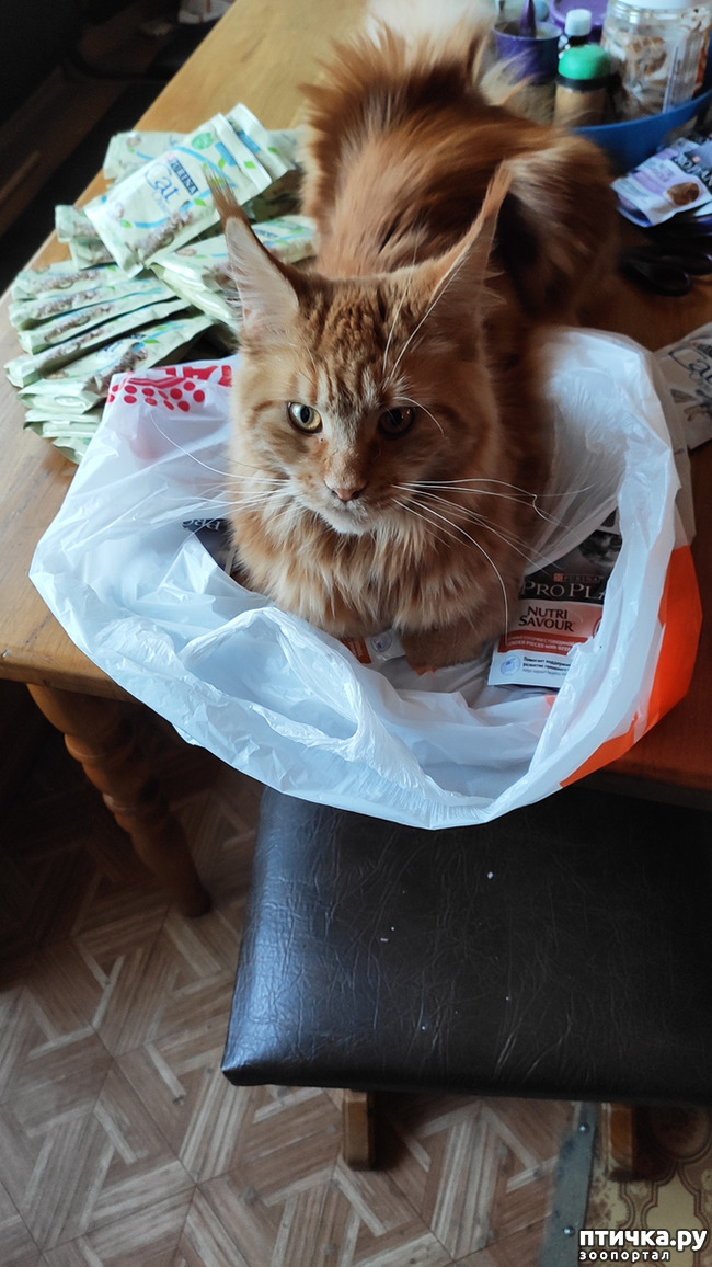 ���� 21: � ����� �� � ���