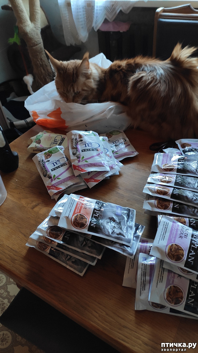 ���� 20: � ����� �� � ���