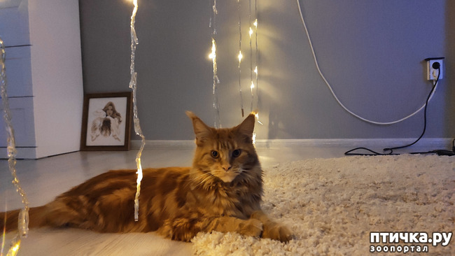 ���� 22: � ����� �� � ���