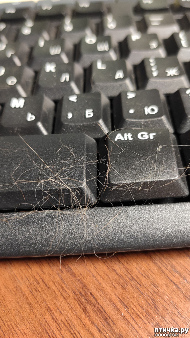 ���� 8: � ����� �� � ���