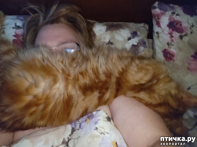 ���� 17: � ����� �� � ���