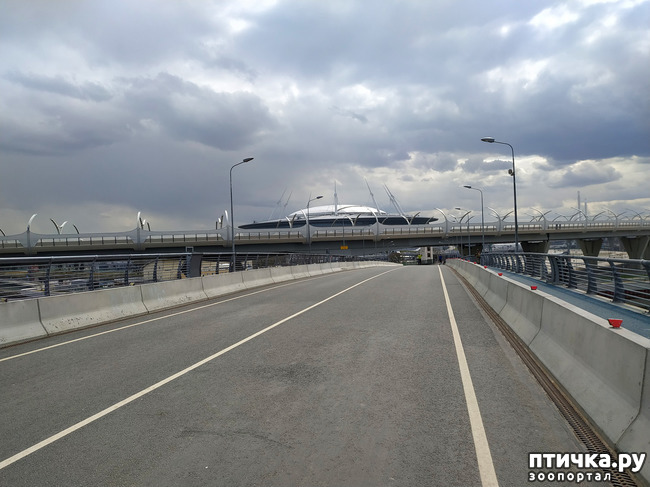 ���� 9: ������������ 2