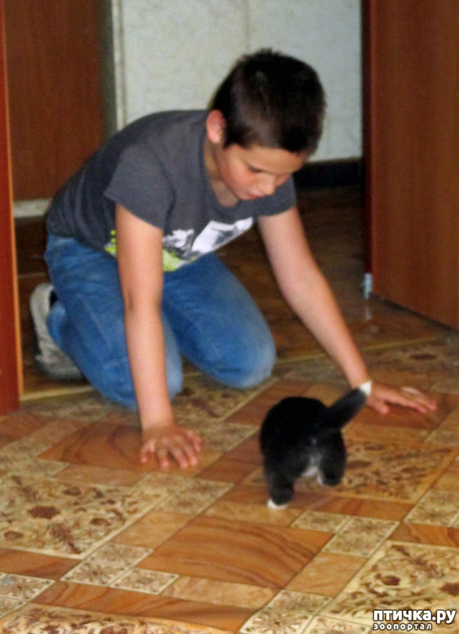  7:  