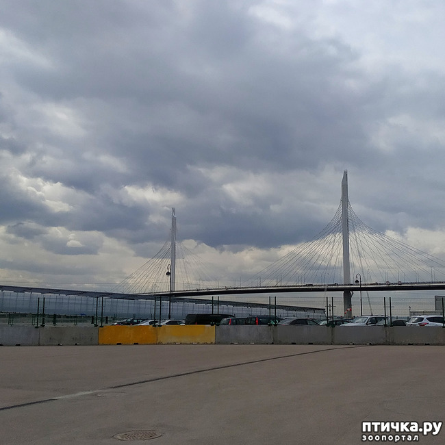 ���� 10: ������������ 2