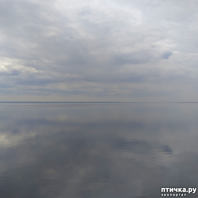 ���� 12: ������������ 2