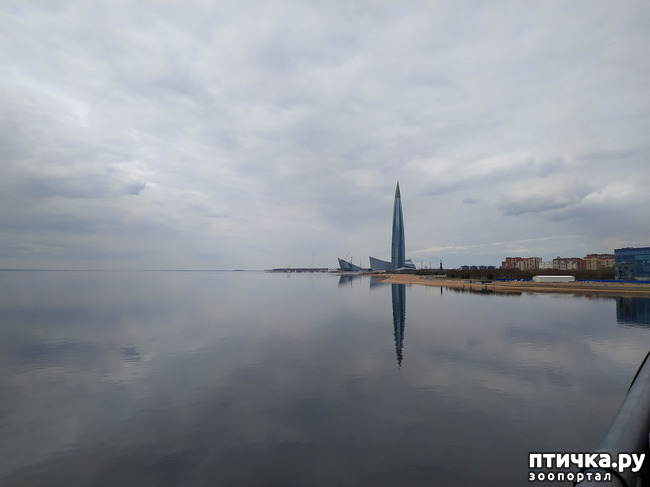 ���� 11: ������������ 2