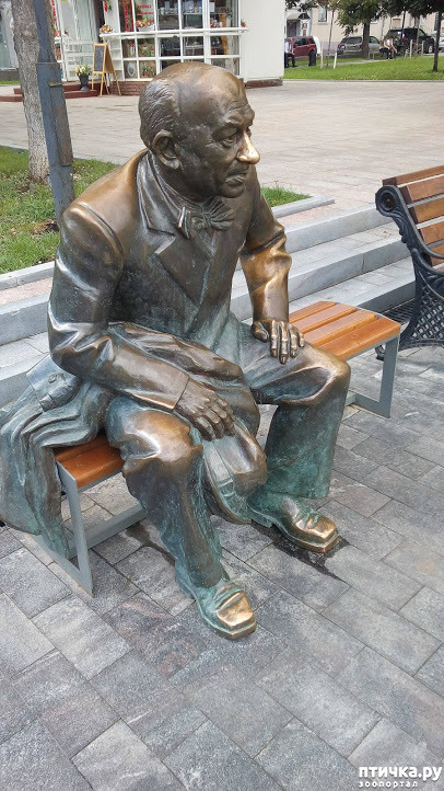 ���� 28: ����� ��������