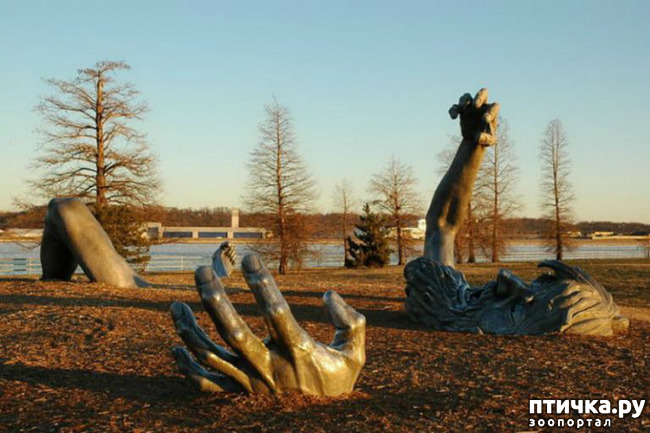 ���� 4: ����� ��������