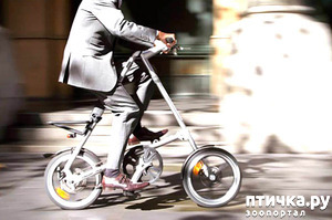 ����: ������������ 2