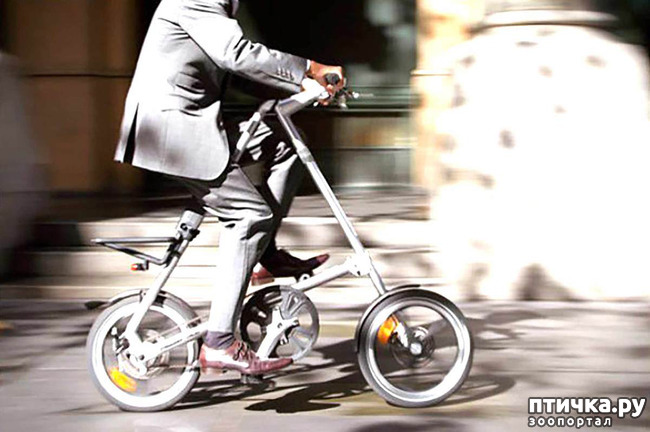 ���� 1: ������������ 2