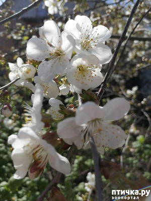 ����: ������ ��� �����.