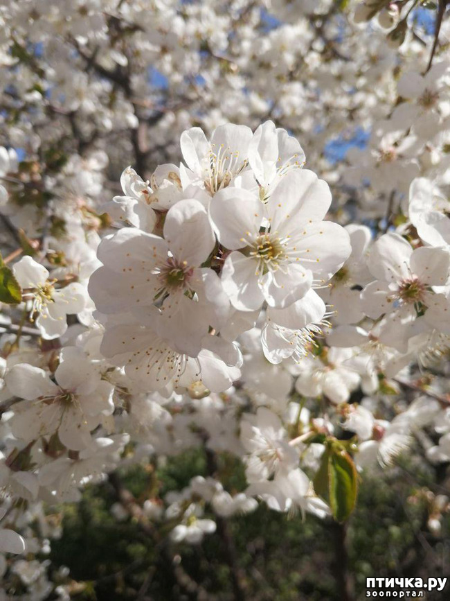 ���� 2: ������ ��� �����.