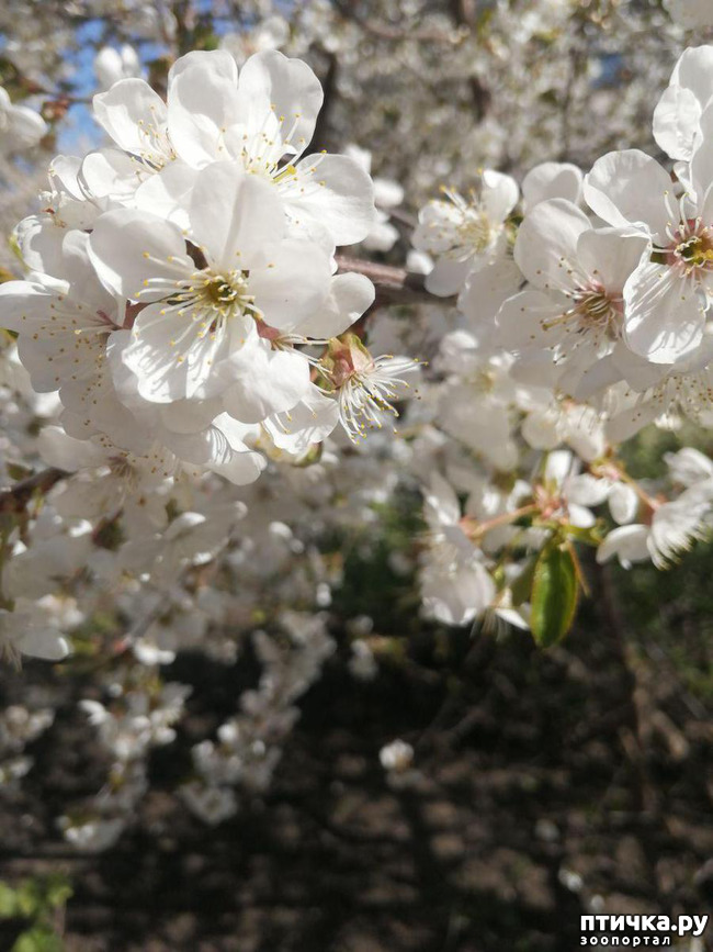 ���� 4: ������ ��� �����.