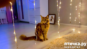 ����: � ����� �� � ���