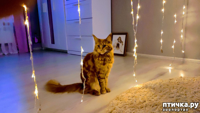 ���� 1: � ����� �� � ���