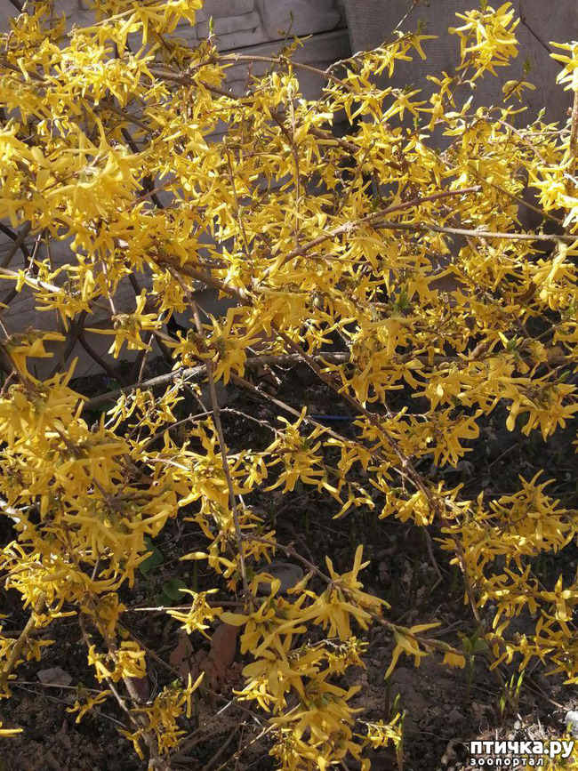 ���� 5: ������ ��� �����.