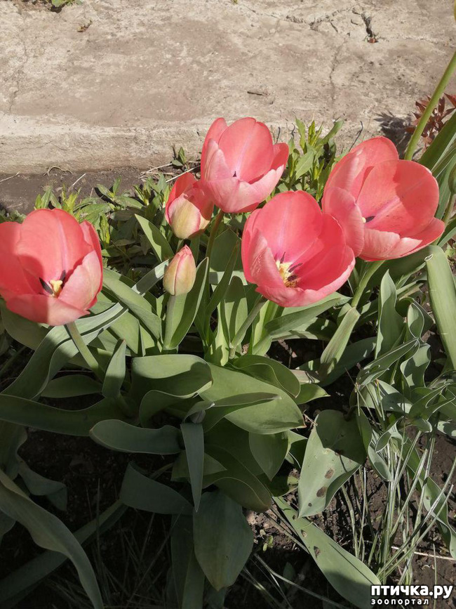 ���� 8: ������ ��� �����.