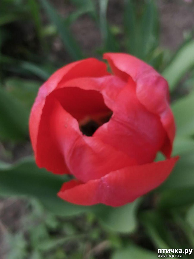 ���� 11: ������ ��� �����.