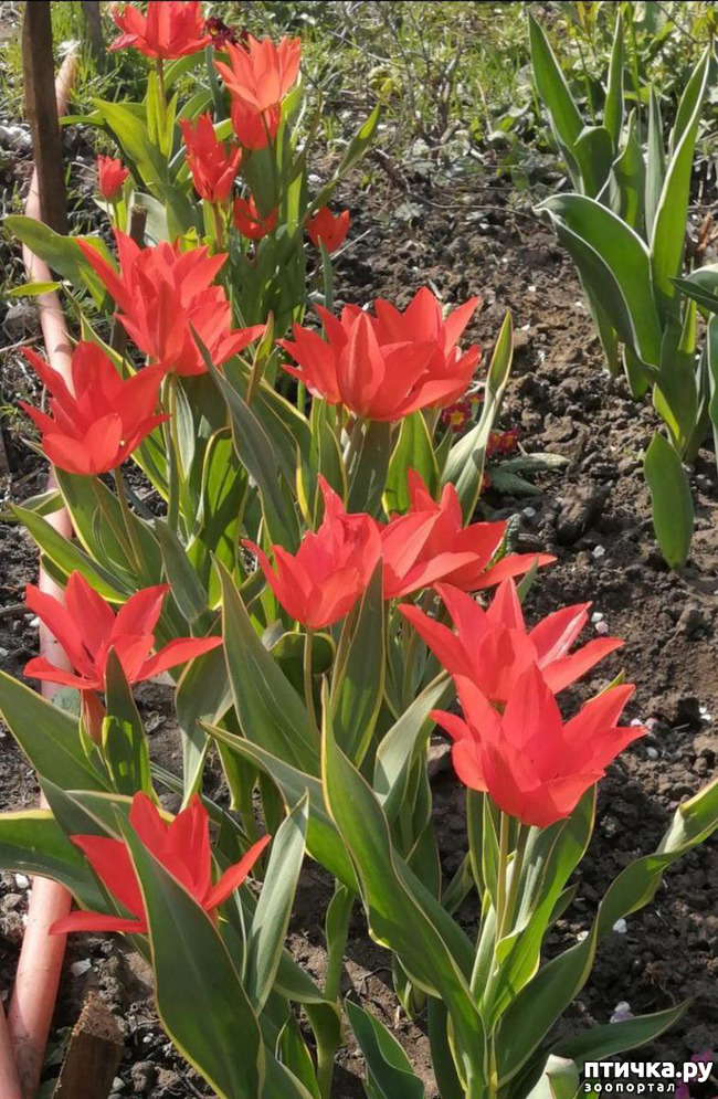 ���� 12: ������ ��� �����.