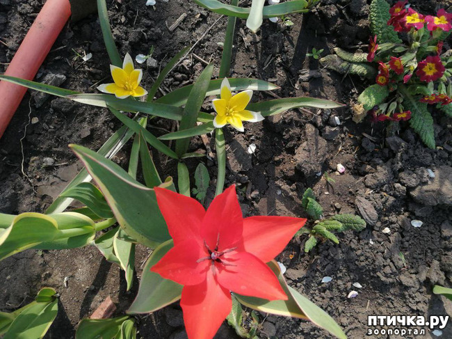 ���� 14: ������ ��� �����.