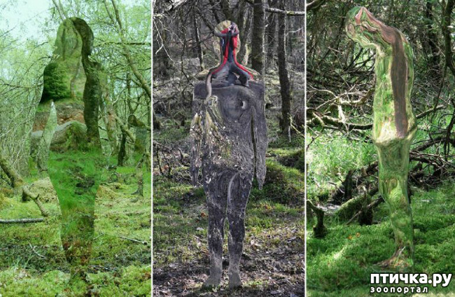 ���� 5: ����� ��������