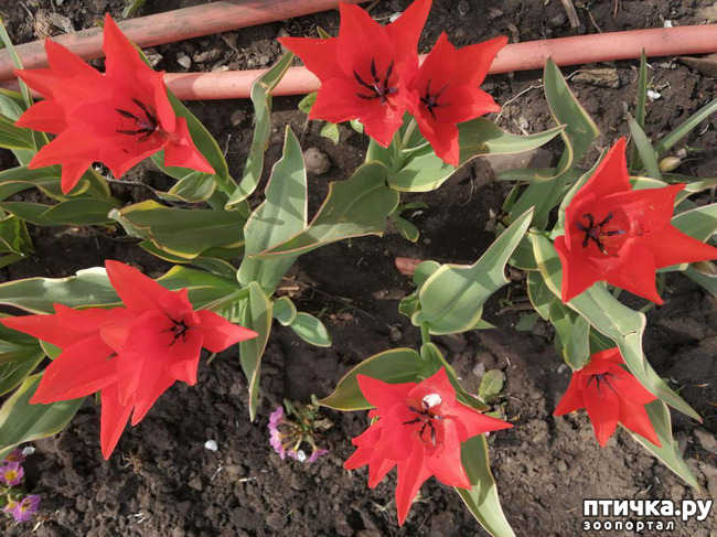 ���� 17: ������ ��� �����.