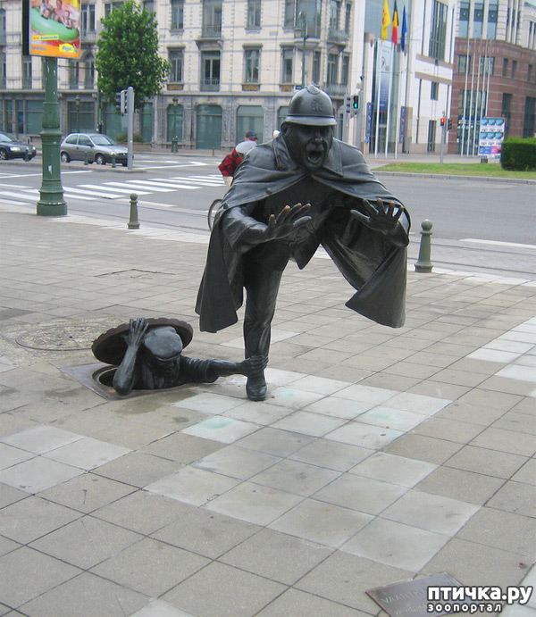 ���� 6: ����� ��������