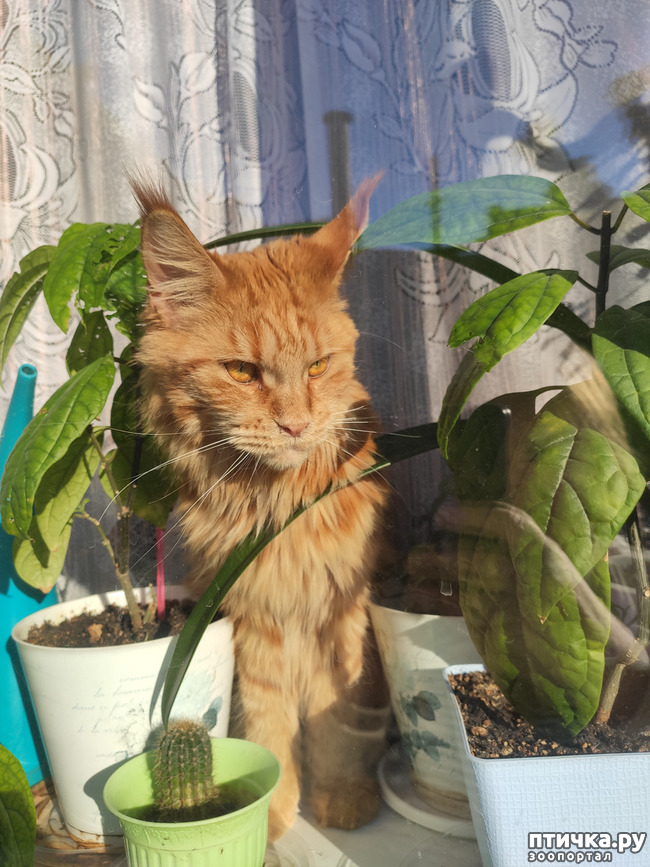 ���� 3: � ����� �� � ���