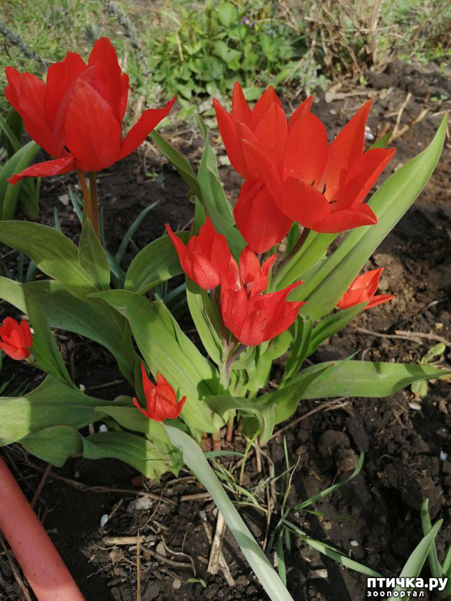 ���� 21: ������ ��� �����.