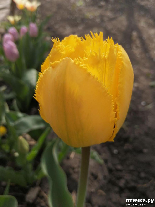 ���� 22: ������ ��� �����.