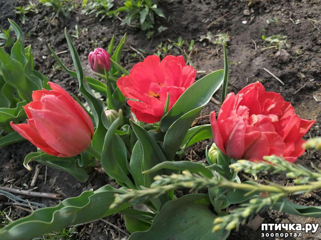 ���� 23: ������ ��� �����.