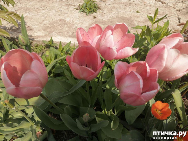 ���� 24: ������ ��� �����.