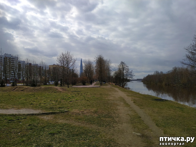 ���� 2: ������������ 2